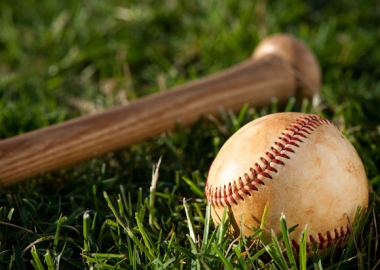 Bat and baseball in grass