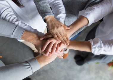 team members