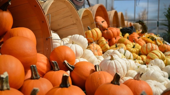 Gourds