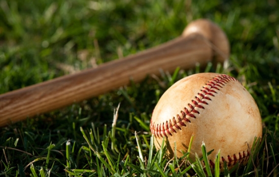 Bat and baseball in grass