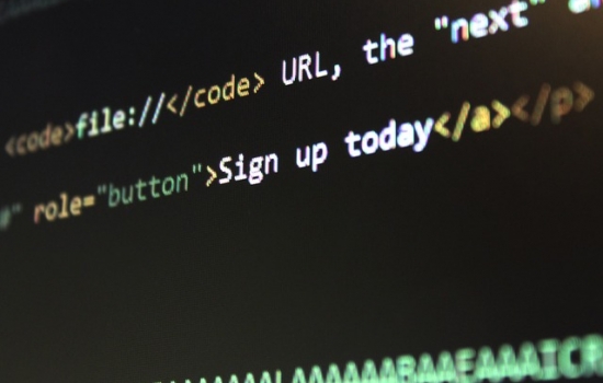 Screen shot of website code