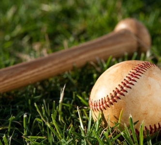 Bat and baseball in grass