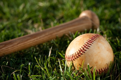 Bat and baseball in grass